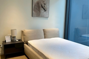 1PN| 1WC| 55 M2| Full nội thất| 41 Triệu/Tháng